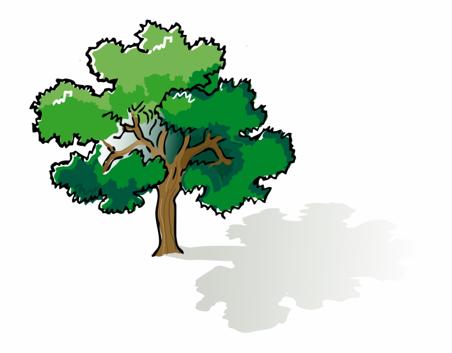 920x719 Oak Tree Vector Free Download