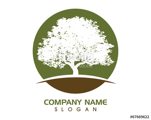 500x400 Oak Tree Logo Stock Image And Royalty Free Vector