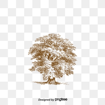 360x360 Tree Vector, Graphic Resources For Free Download