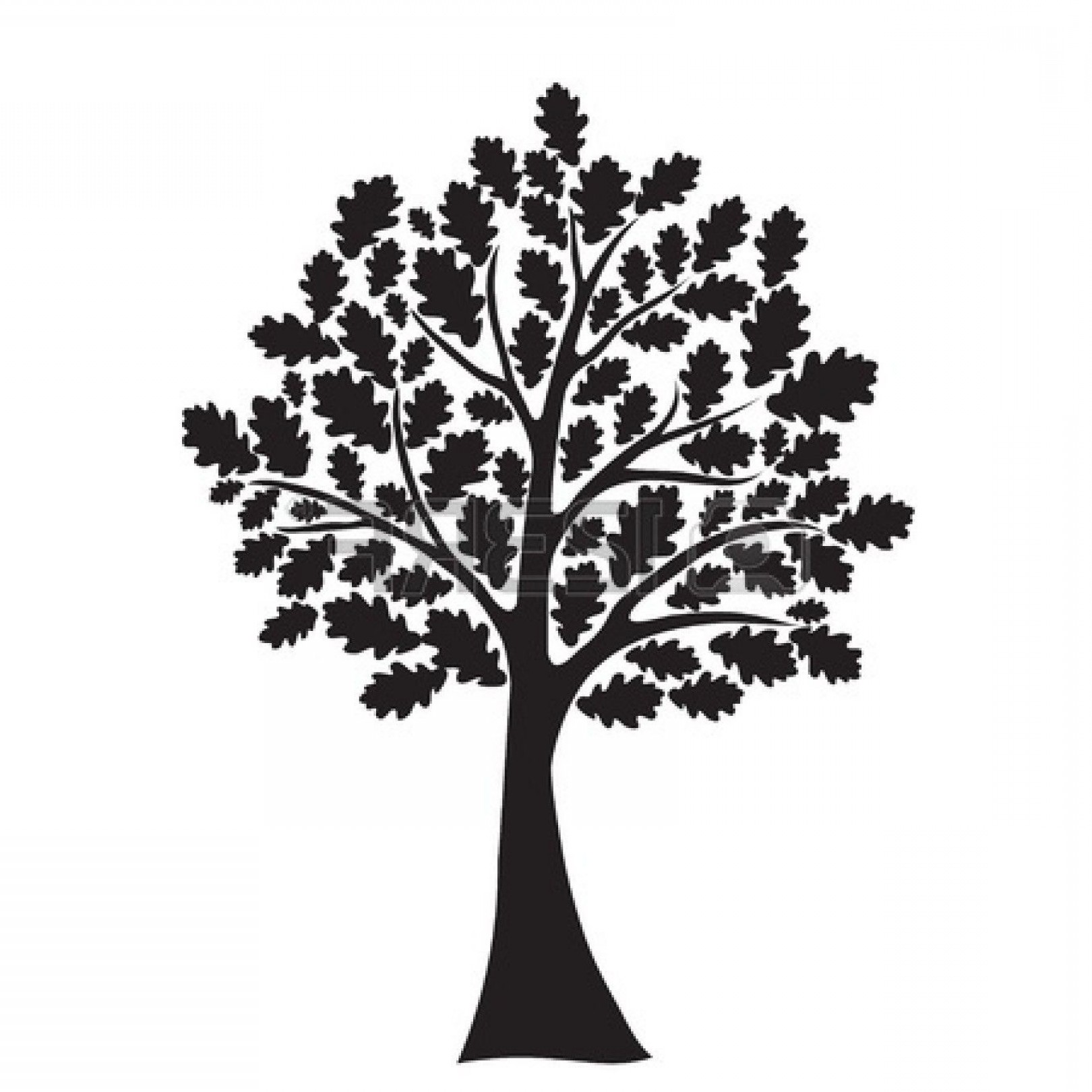 Oak Tree Vector Free at Vectorified.com | Collection of Oak Tree Vector ...