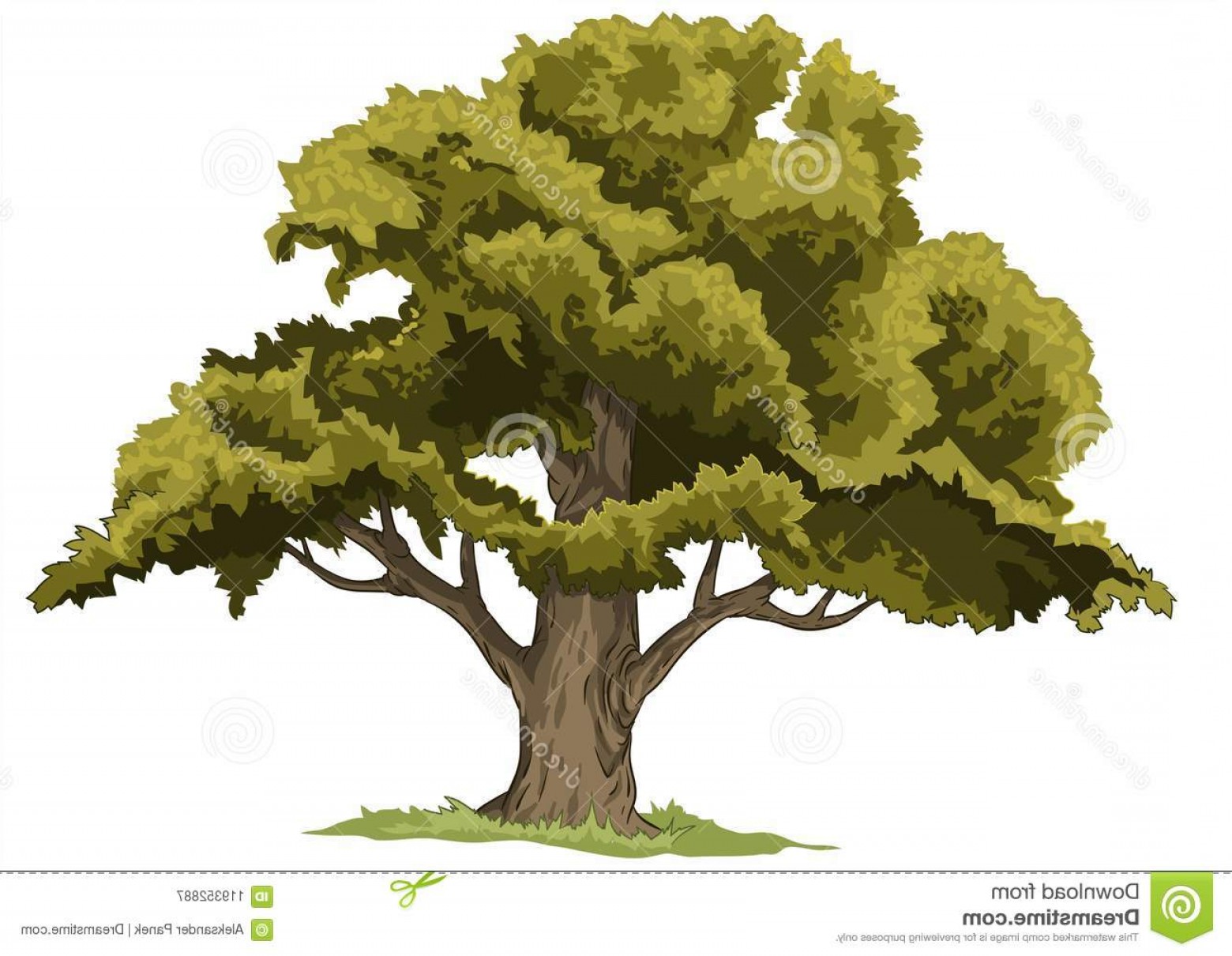 Дерево дуб вектор