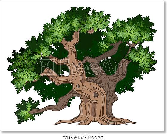 560x470 Free Art Print Of Big Oak Tree Vector Illustration Of Big And Old