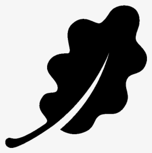 Oak Leaf Png, Transparent Oak Leaf Png Image Free Download 300x301 Oak Leaf Png, Transparent Oak Leaf Png Image Free Download