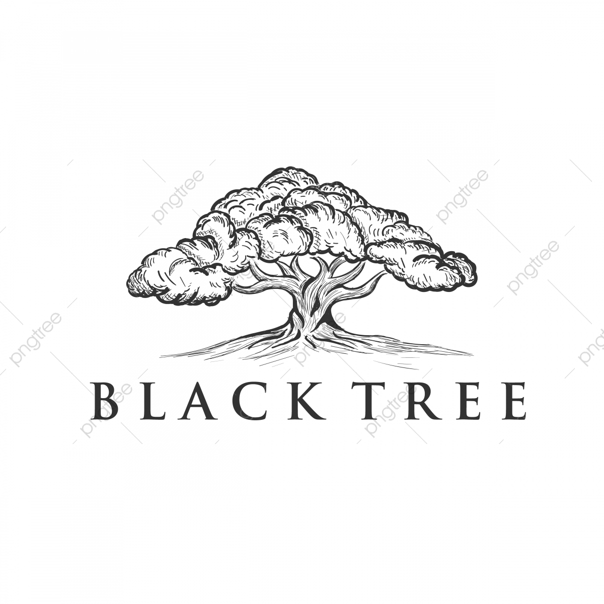 Oak Tree Concept Logo Template, Tree, Oak, Logo Png And Vector 1200x1200 Oak Tree Concept Logo Template, Tree, Oak, Logo Png And Vector