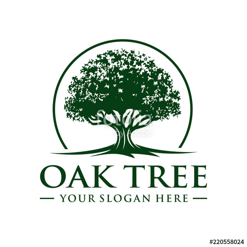 Oak Tree Logo Stock Image And Royalty Free Vector 500x500 Oak Tree Logo Stock Image And Royalty Free Vector