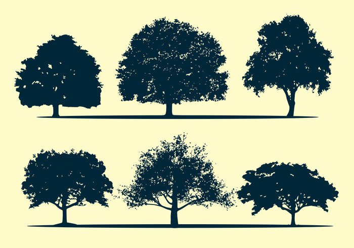 Oak Tree Silhouette Vectors Free Vectors Ui Download 700x490 Oak Tree Silhouette Vectors Free Vectors Ui Download