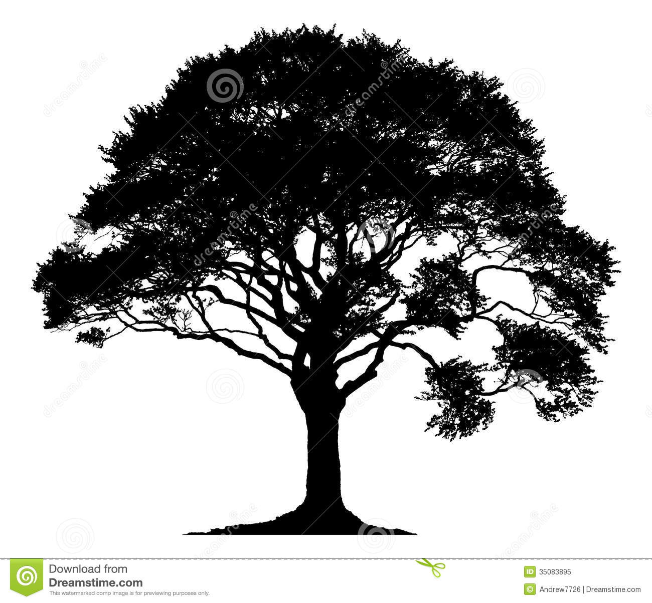 Oak Tree Vector Free Download at Vectorified.com | Collection of Oak