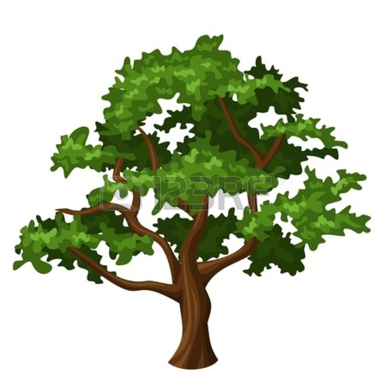 Stock Vector Canvas In Tree Clipart, Oak Tree Drawings 1350x1350 Stock Vector Canvas In Tree Clipart, Oak Tree Drawings