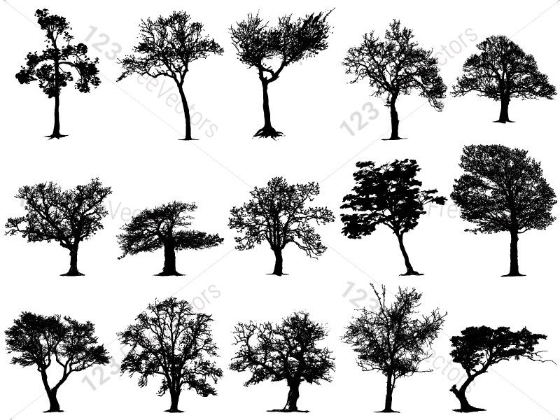 Tree Silhouettes Vector And Photoshop Brush Pack Tree 800x600 Tree Silhouettes Vector And Photoshop Brush Pack Tree