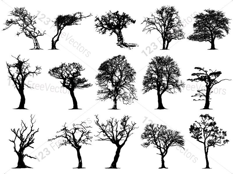 Tree Silhouettes Vector And Photoshop Brush Pack Tree 800x600 Tree Silhouettes Vector And Photoshop Brush Pack Tree