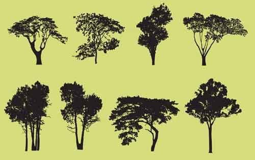 Tree Vector Free Editable Illustrations To Download 500x314 Tree Vector Free Editable Illustrations To Download