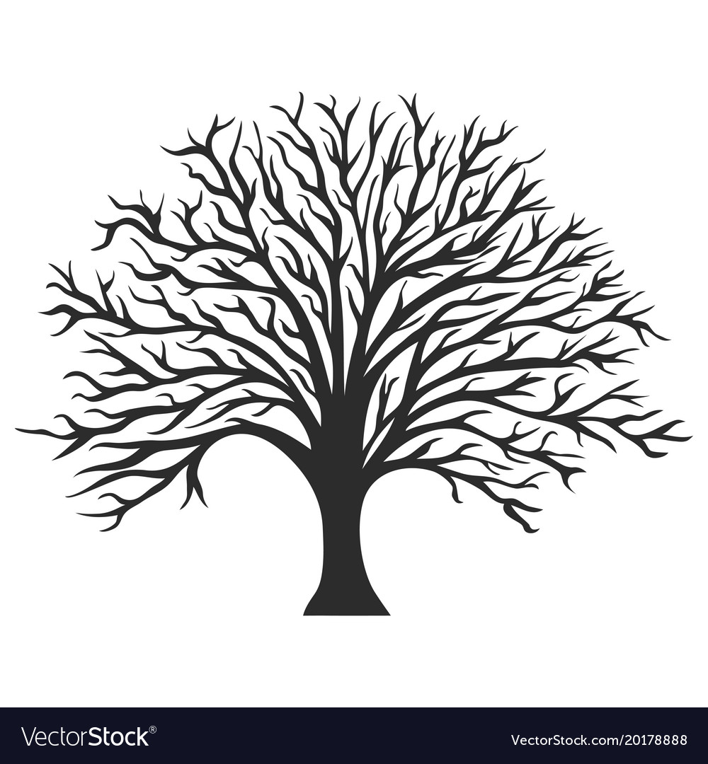 Huge Collection Of 'free Tree Silhouette Vector' Download More 1000x1080 Huge Collection Of 'free Tree Silhouette Vector' Download More