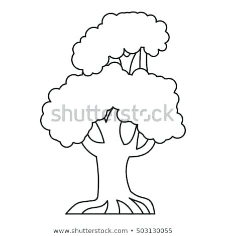 Oak Vector at Vectorified.com | Collection of Oak Vector free for ...