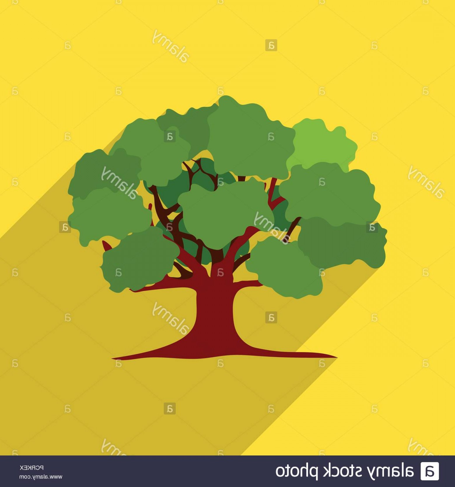 1560x1668 Oak Vector Illustration Icon In Flat Design Image Cqrecords