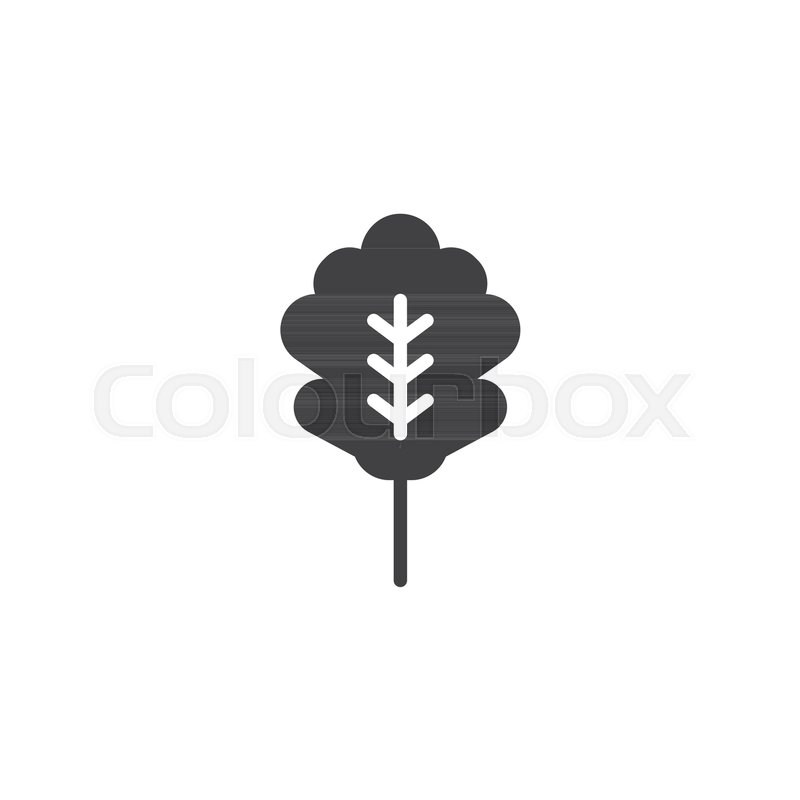 800x800 Oak Tree Leaf Vector Icon Filled Flat Stock Vector Colourbox