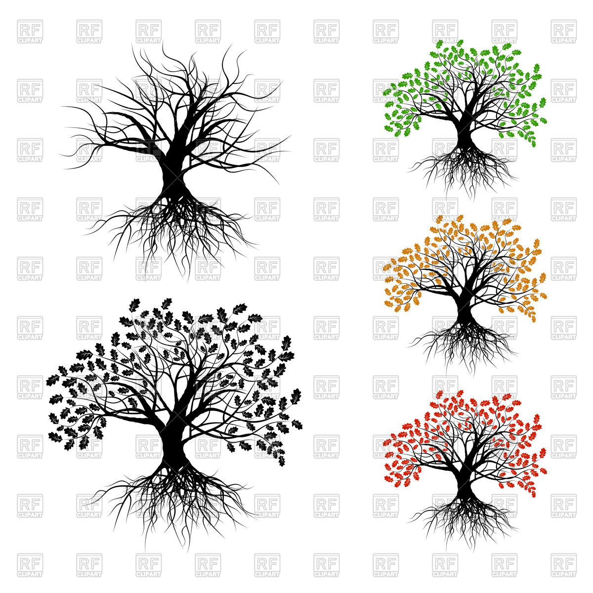 1200x1200 Oak With Black, Red, Green And Orange Leaves Isolated On White