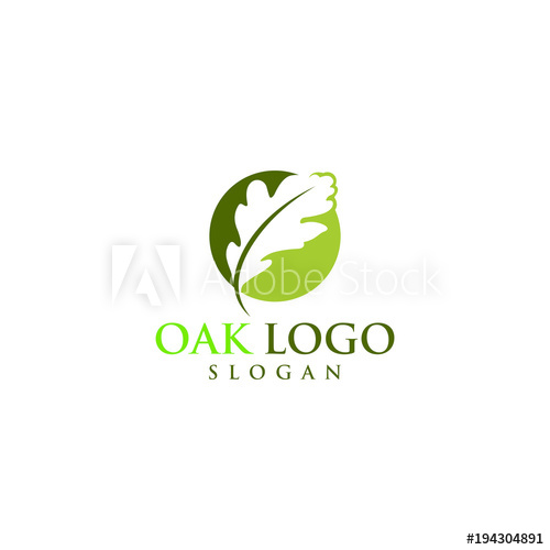 500x500 Oak Vector Graphic Abstract Logo Template Download
