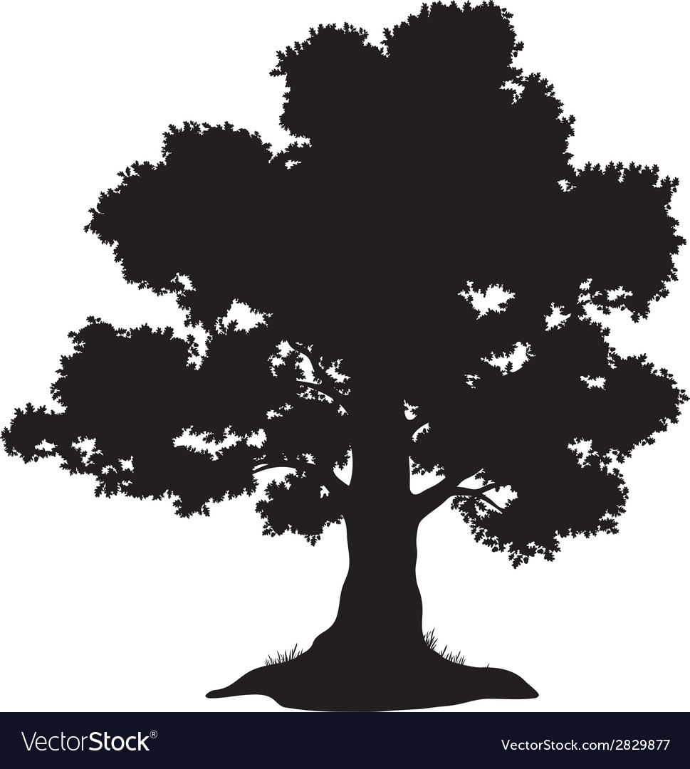 969x1080 Huge Collection Of 'oak Tree Silhouette Vector Free' Download