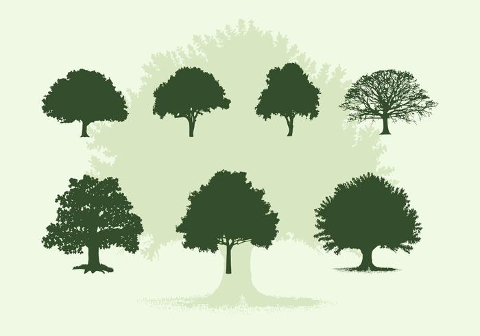 700x490 Oak Tree Free Vector Art