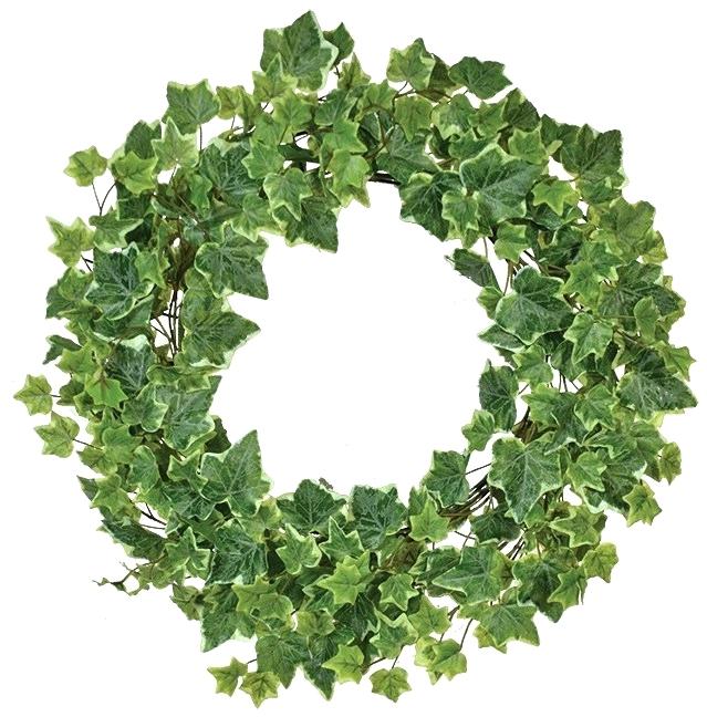 639x648 Leaf Wreath Oak Leaf Wreath Vector Olive Leaf Wreath Vector