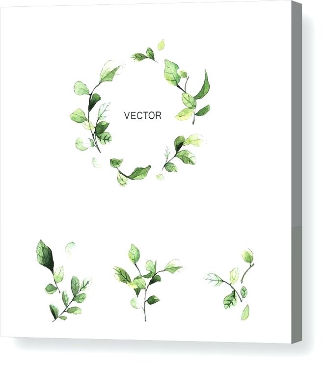 666x752 Leaf Wreath Vector Art Silhouette Clipart Free