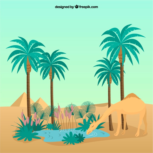 626x626 Oasis Vectors, Photos And Free Download