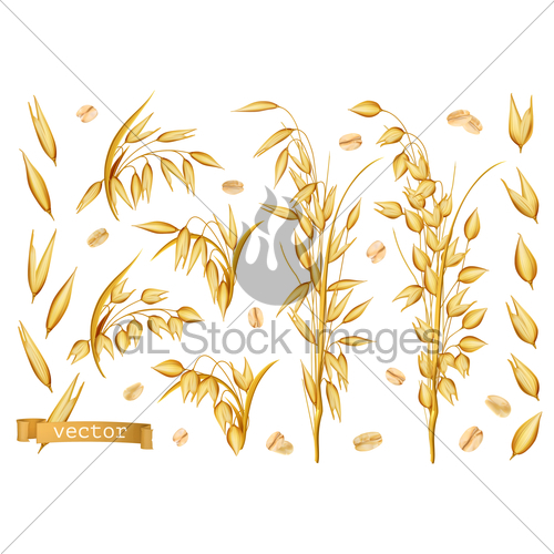 500x500 Oat Plants, Rolled Oats Realistic Vector Icon Set Gl Stock