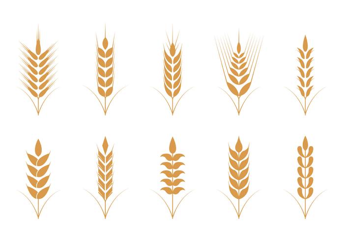 700x490 Oats Vector Icons Stock Images