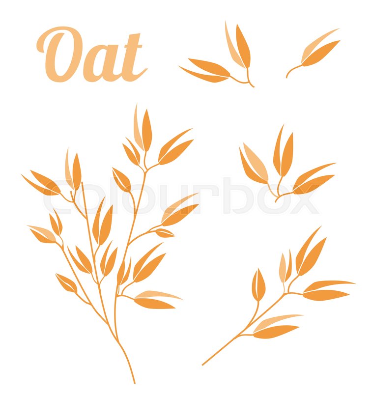 755x800 Cereal Plants, Agriculture Industry Stock Vector Colourbox