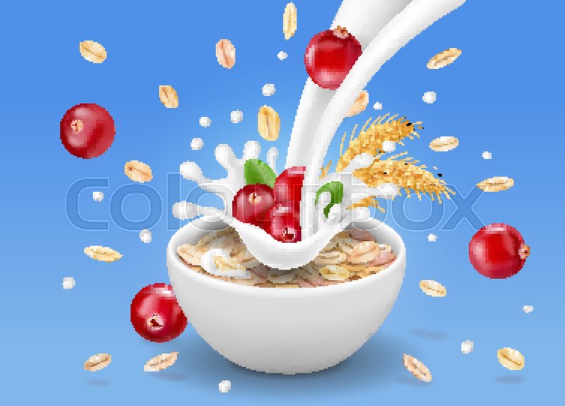 800x575 Oat Flakes With Cranberry Oatmeal And Stock Vector Colourbox
