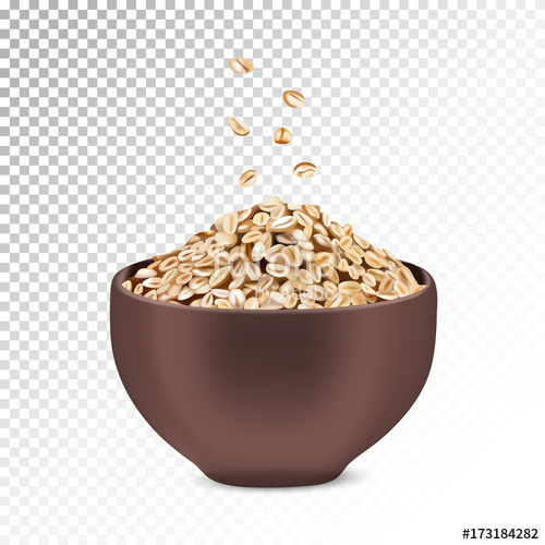 500x500 Vector Realistic Illustration Of Oatmeal And Muesli Stock Image