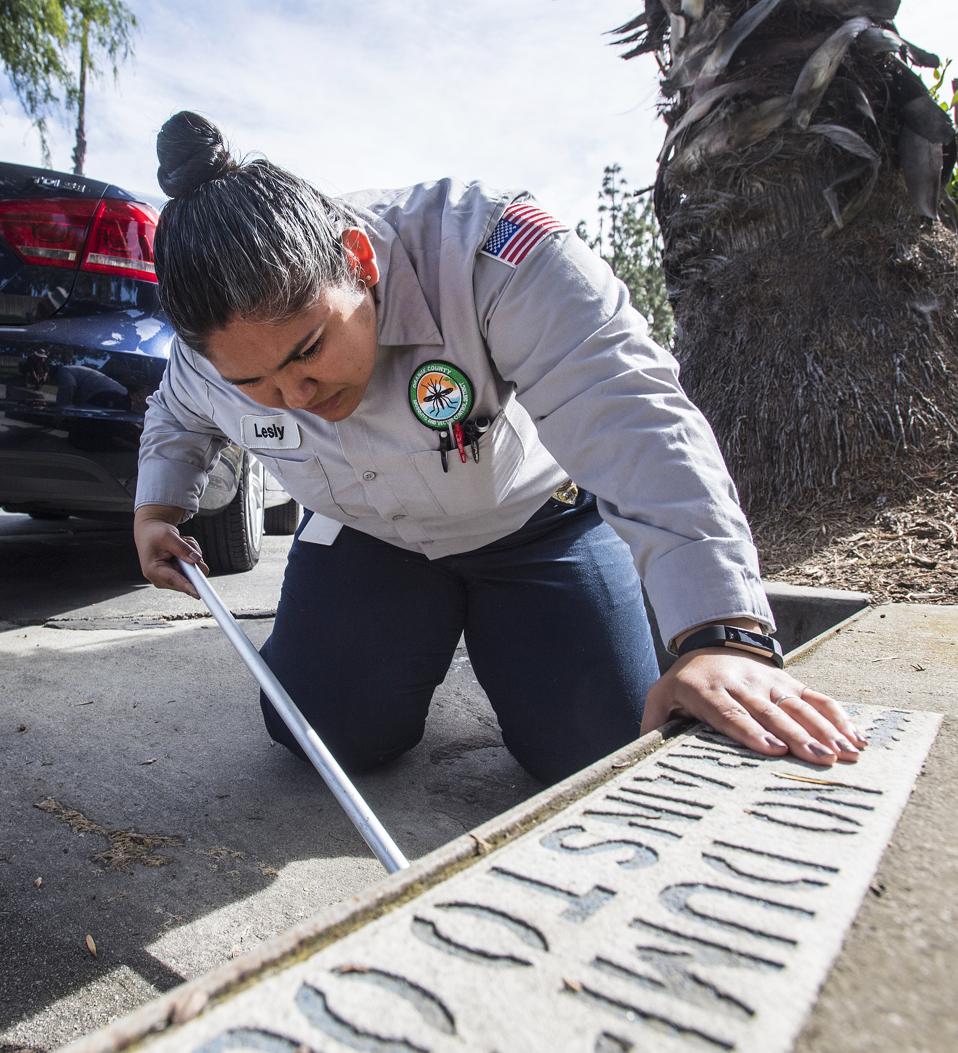 3086x3391 The World's Deadliest Animal Lives In Your Backyard Orange