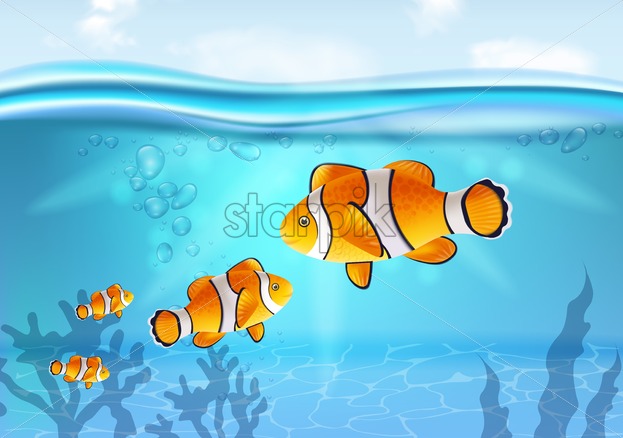 Gold Fish Underwater Vector Realistic Sea Life Small Fish Ocean 623x438 Gold Fish Underwater Vector Realistic Sea Life Small Fish Ocean