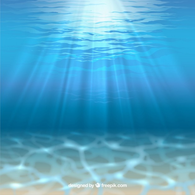 Ocean Vectors, Photos And Free Download 626x626 Ocean Vectors, Photos And Free Download