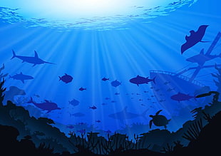 Sunset View Ocean Background Vector Illustration 310x219 Sunset View Ocean Background Vector Illustration