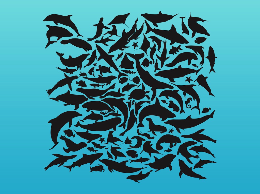 Sea Animals Pattern Vector Art Graphics 1024x766 Sea Animals Pattern Vector Art Graphics