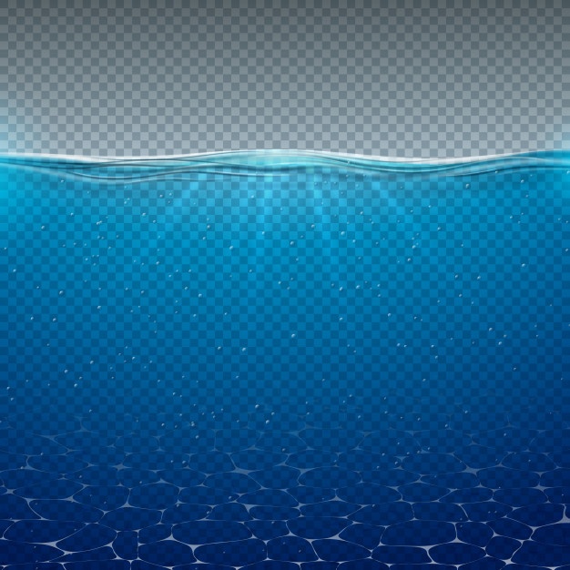 626x626 Ocean Vectors, Photos And Free Download