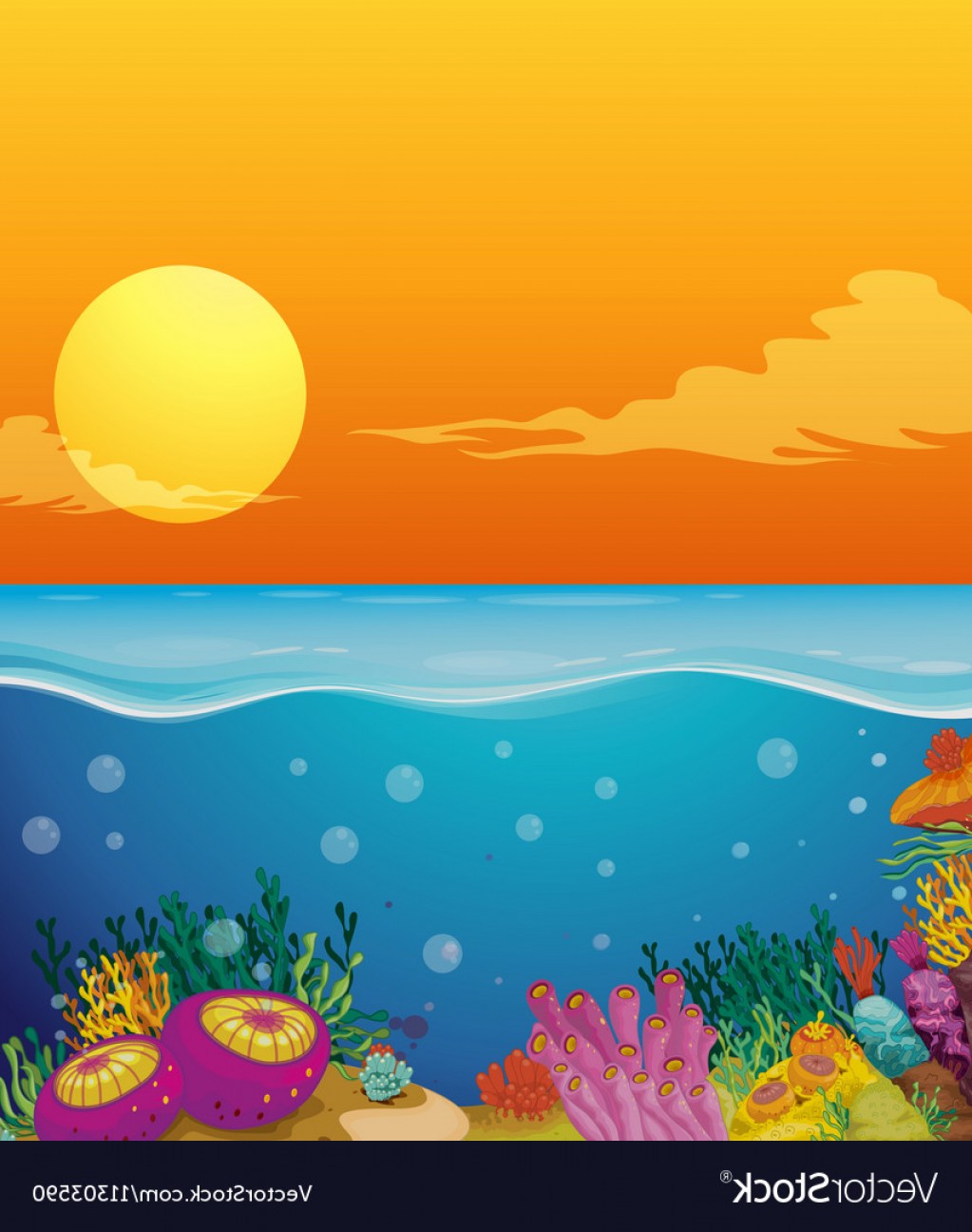 1023x1296 Scene With Coral Reef Under The Ocean Vector Soidergi