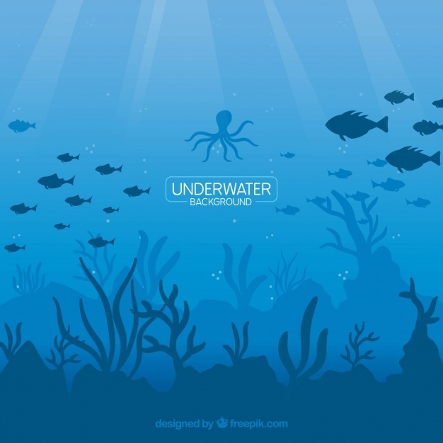 Ocean Vectors, Photos And Free Download 626x626 Ocean Vectors, Photos And Free Download