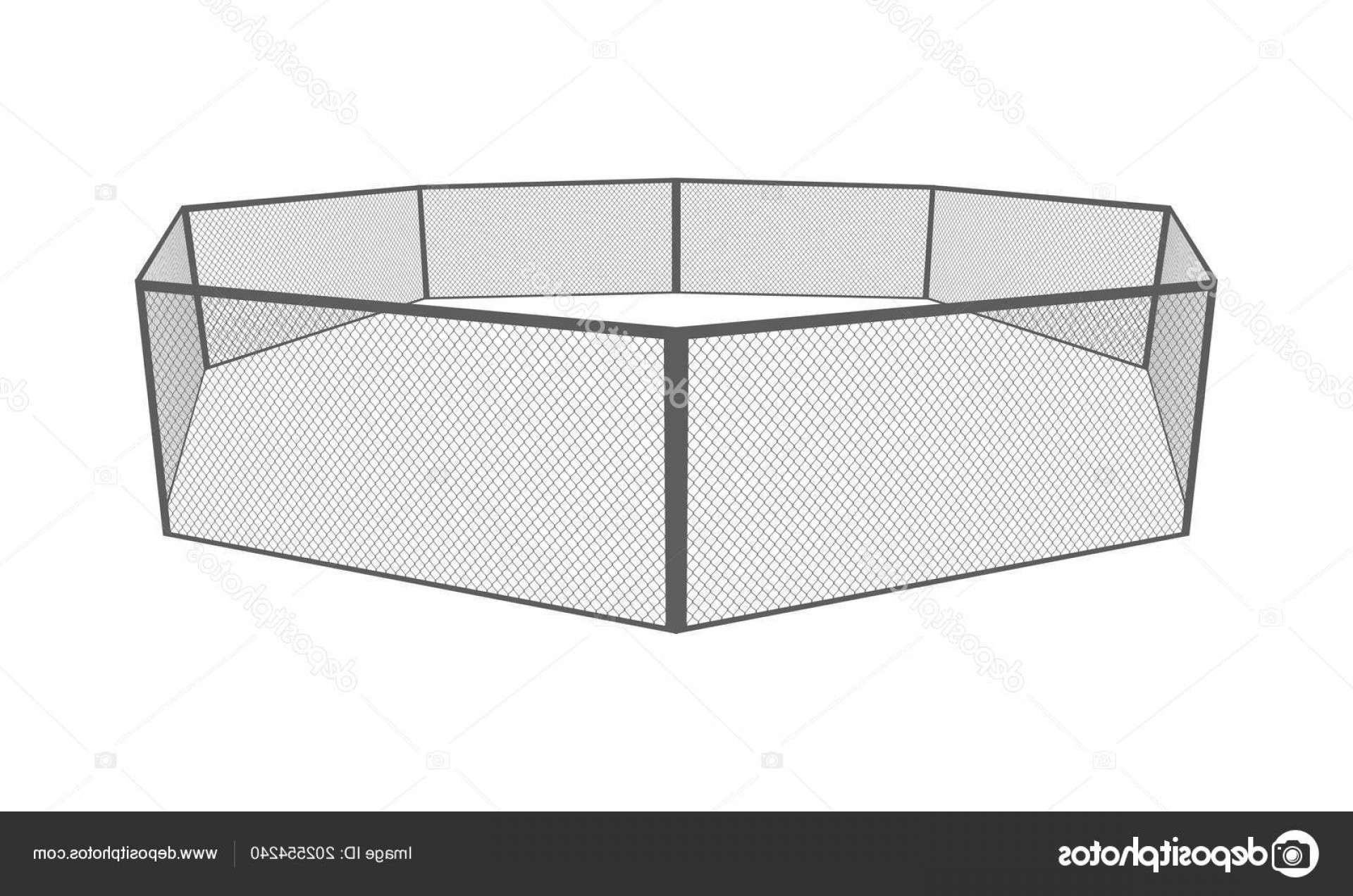 1920x1272 Stock Illustration Mma Cage Octagon Arena Vector Cultracing