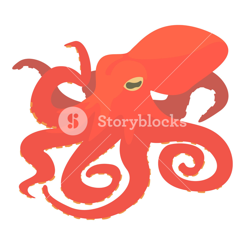 1000x1000 Octopus Icon Cartoon Illustration Of Octopus Vector Icon For Web
