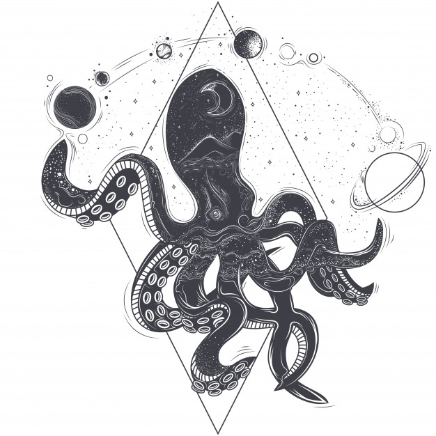 626x626 Octopus Vectors, Photos And Free Download