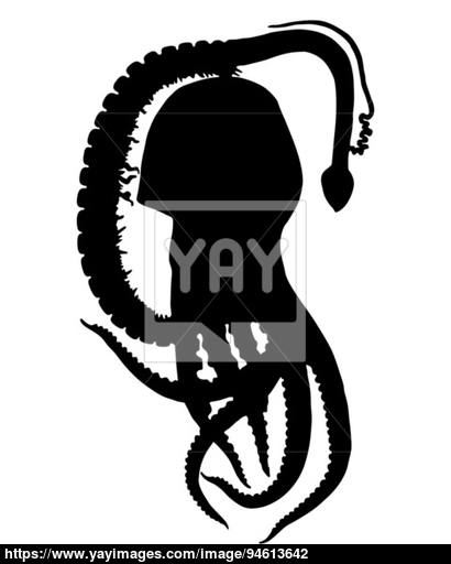 Blanket Octopus Silhouette Vector 410x512 Blanket Octopus Silhouette Vector