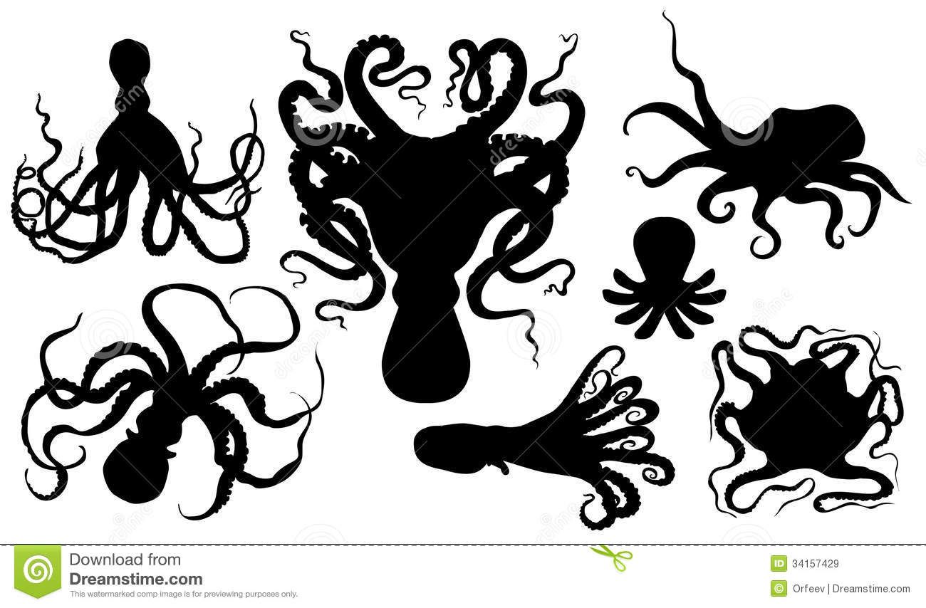 Octopus Silhouettes 1300x854 Octopus Silhouettes