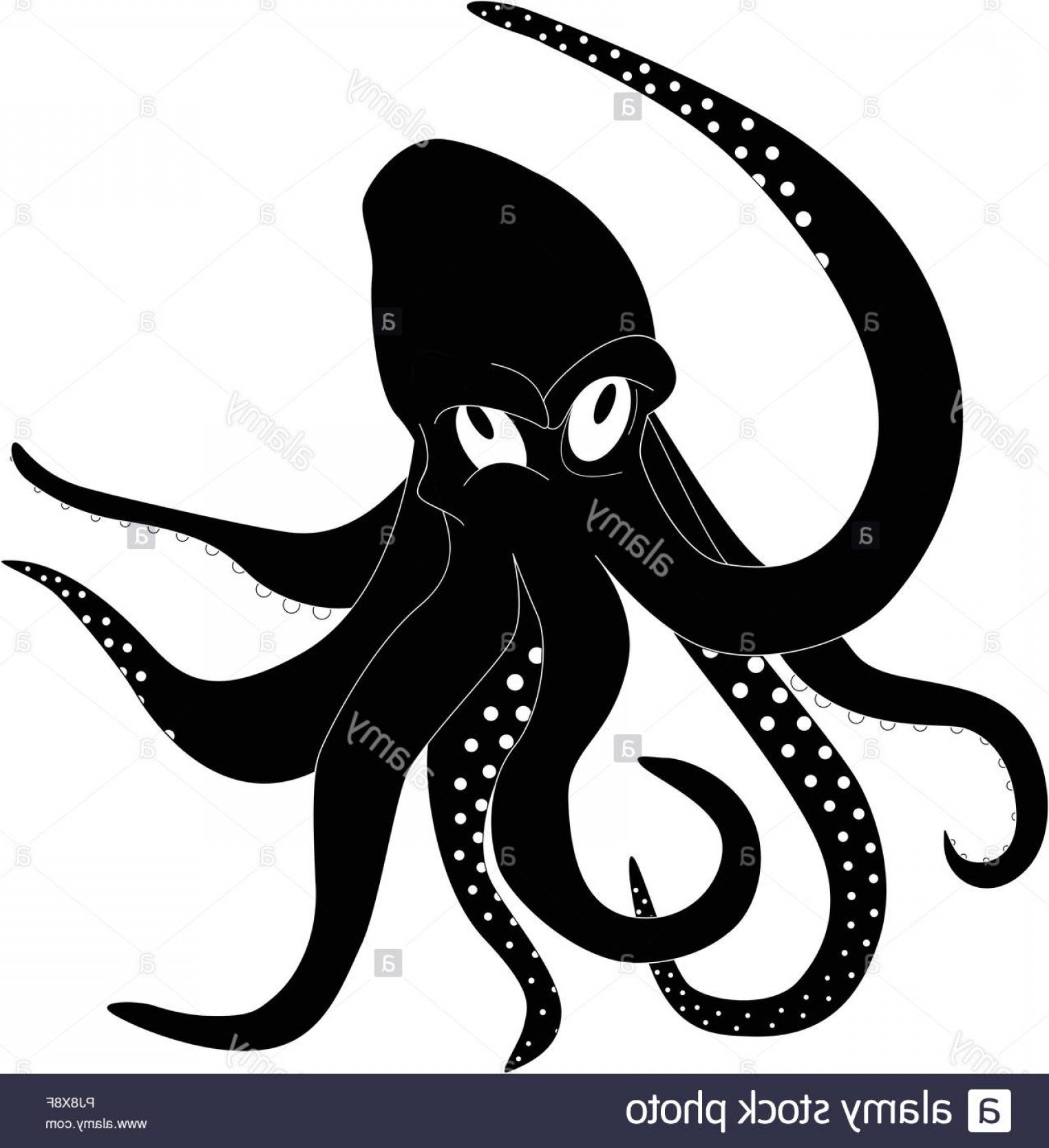 Octopus Stock Vector Lamaison 1524x1668 Octopus Stock Vector Lamaison