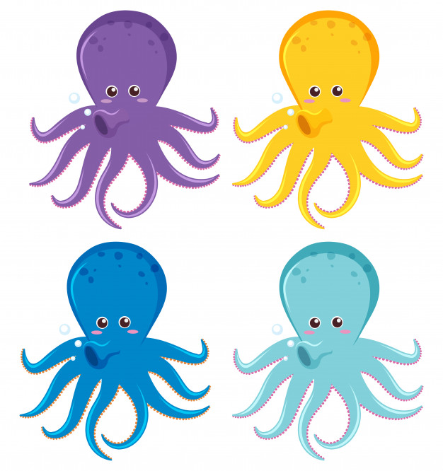 Octopus Vectors, Photos And Free Download 626x666 Octopus Vectors, Photos And Free Download