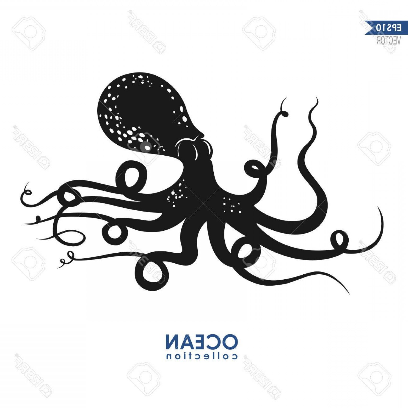 Photostock Vector Giant Squid Isolated On White Vector Octopus 1560x1560 Photostock Vector Giant Squid Isolated On White Vector Octopus