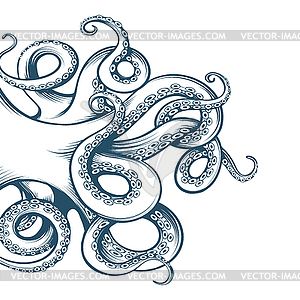 300x300 Octopus Tentacles