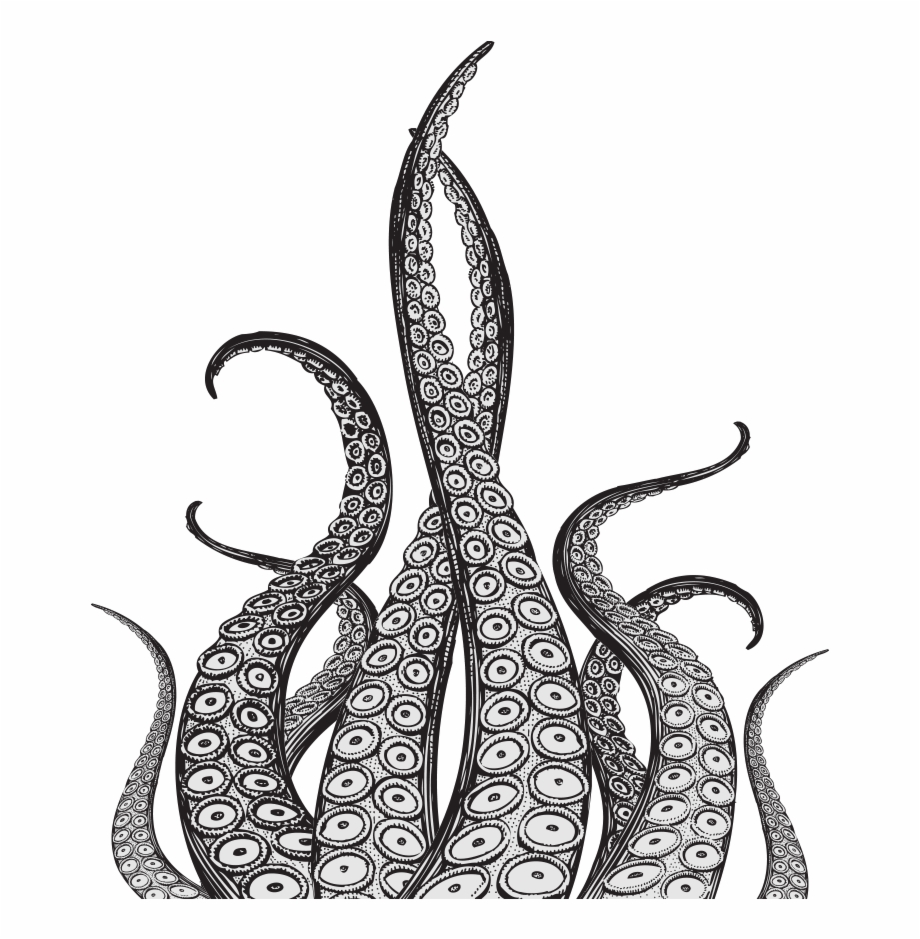 Download Octopus Tentacles Vector at Vectorified.com | Collection ...