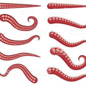 300x300 Octopus Tentacles Vector Cartoon Set Isolated On A White